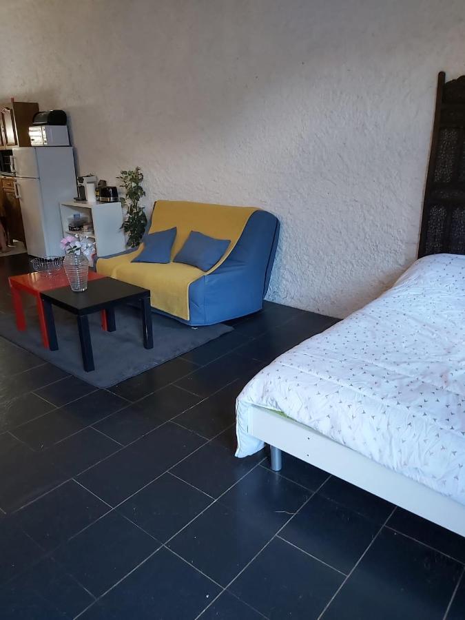 Studio Rdc Avec Terrasse Ligny-en-Barrois エクステリア 写真